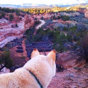 Meet your Posher, Cherie